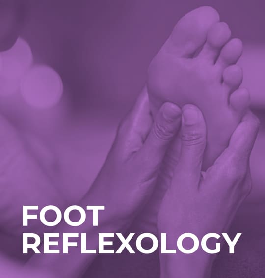 Foot Reflexology Panda